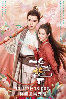 专业seo优化预算